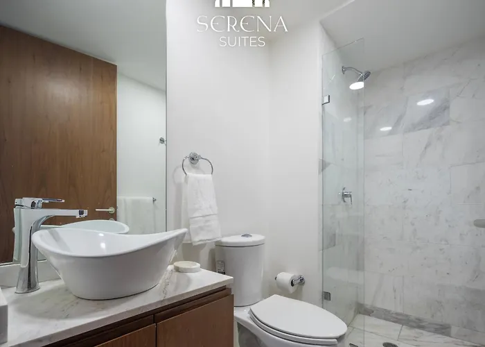 Radiant Rooftop In Condesa With Ac & Pool Apartment Mexico City